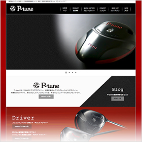 イメージ：P-tune様